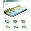 Spanish-English Visual Dictionary_3