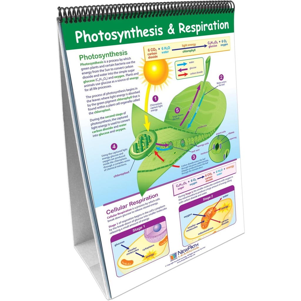 Life Science Curriculum Mastery® Flip Chart_3