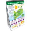 Life Science Curriculum Mastery® Flip Chart_3