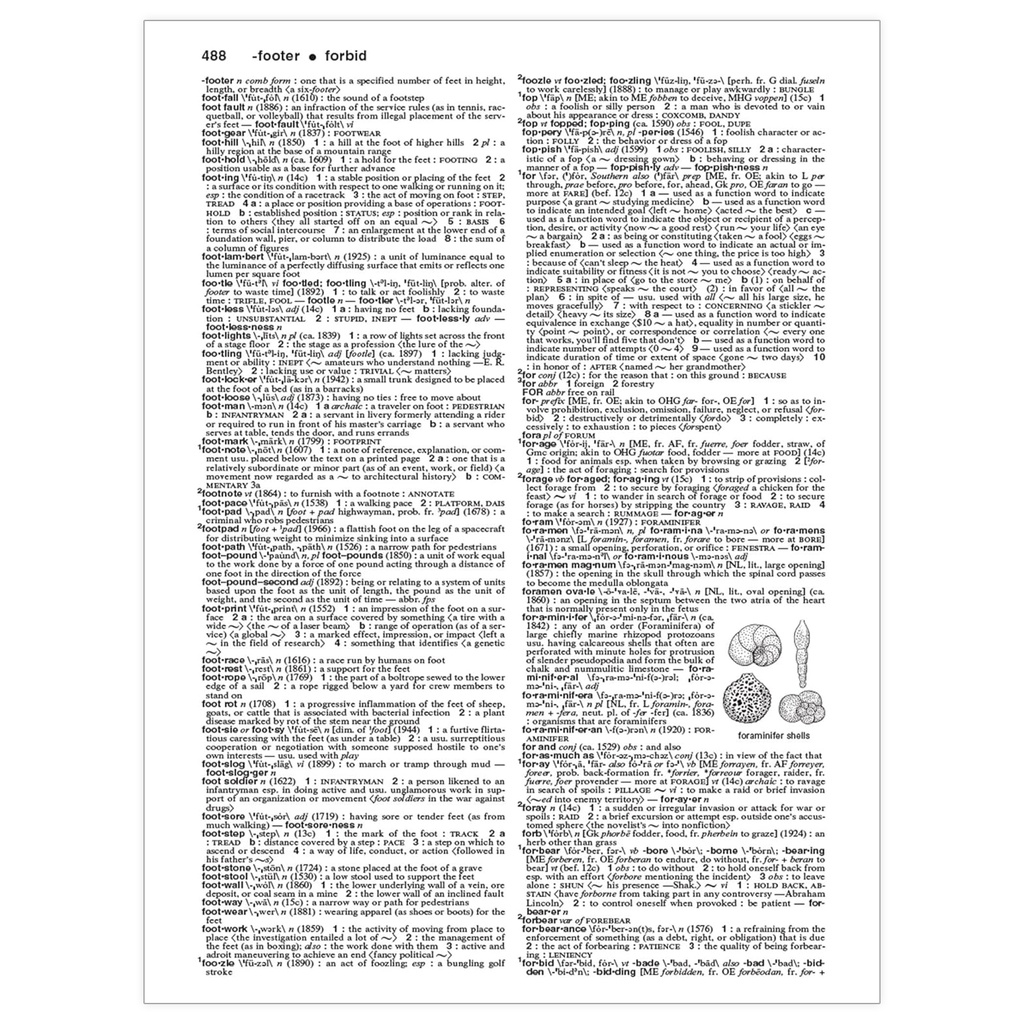 Hardcover Collegiate® Dictionary_3