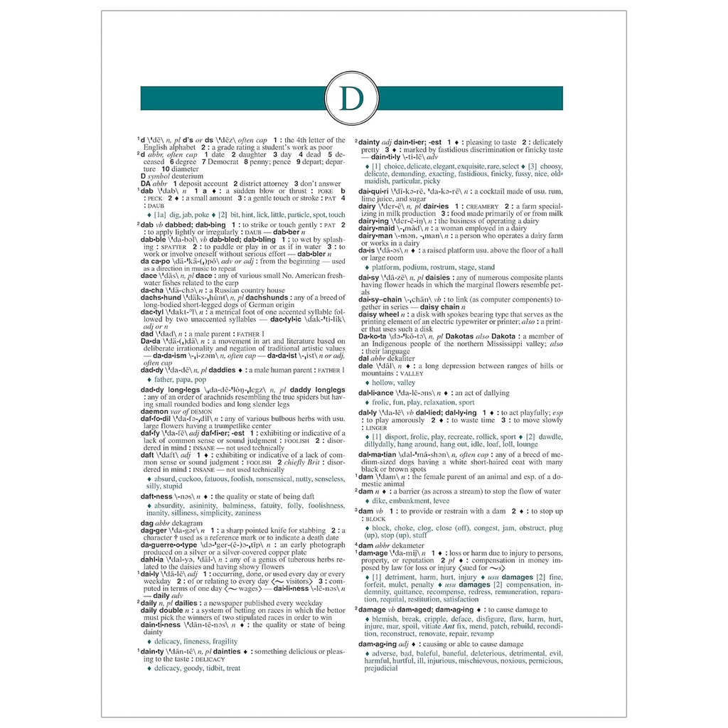Webster's All-in-One Dictionary & Thesaurus Third Edition_3