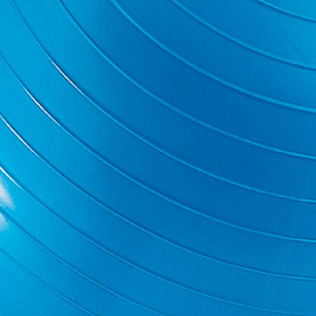 Blue 24" Exercise Ball_2