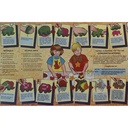 Super Sponges Sea Life Pack_2