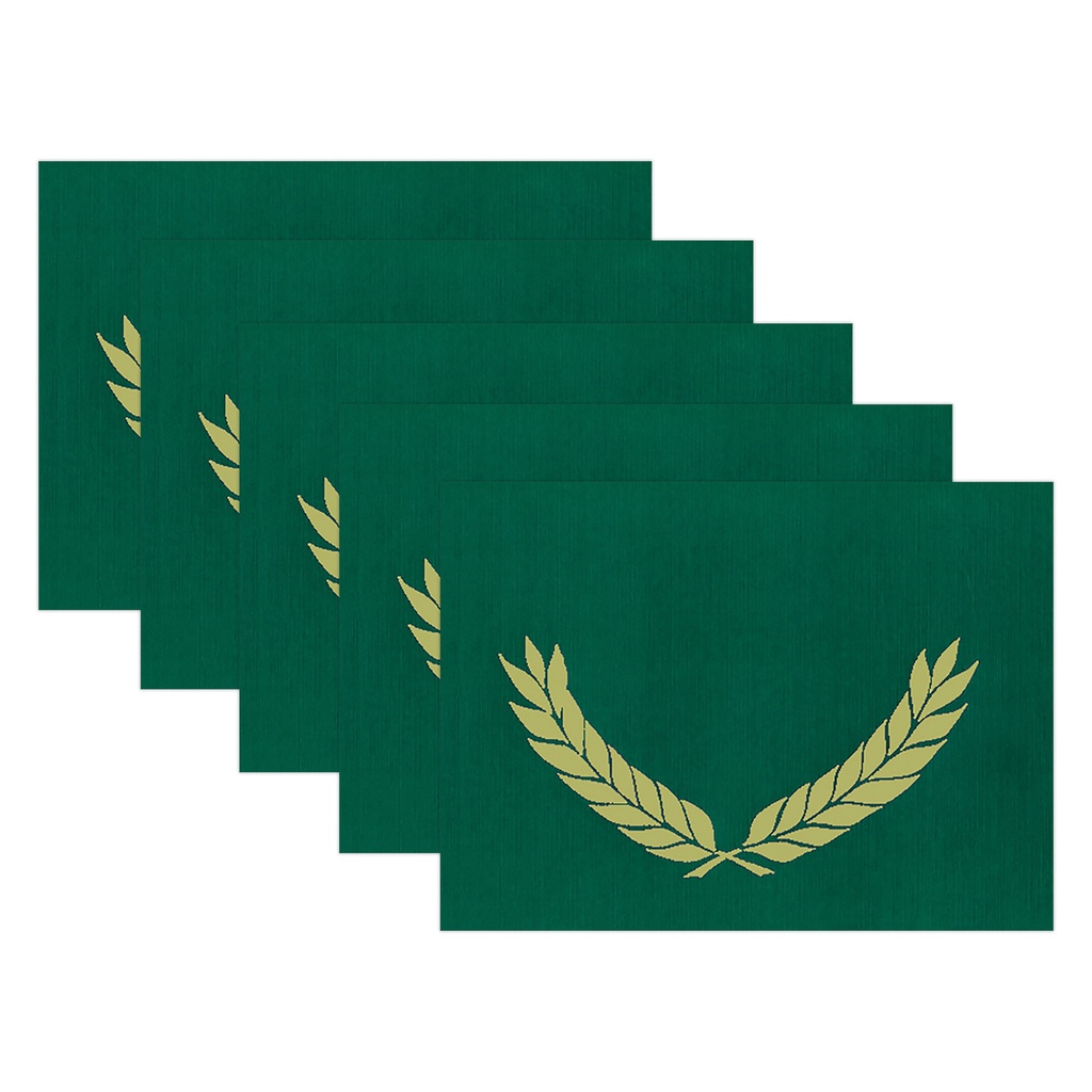 Gold Foil Stamped Green 10" x 13" Certificate Folders Pack of 30_2