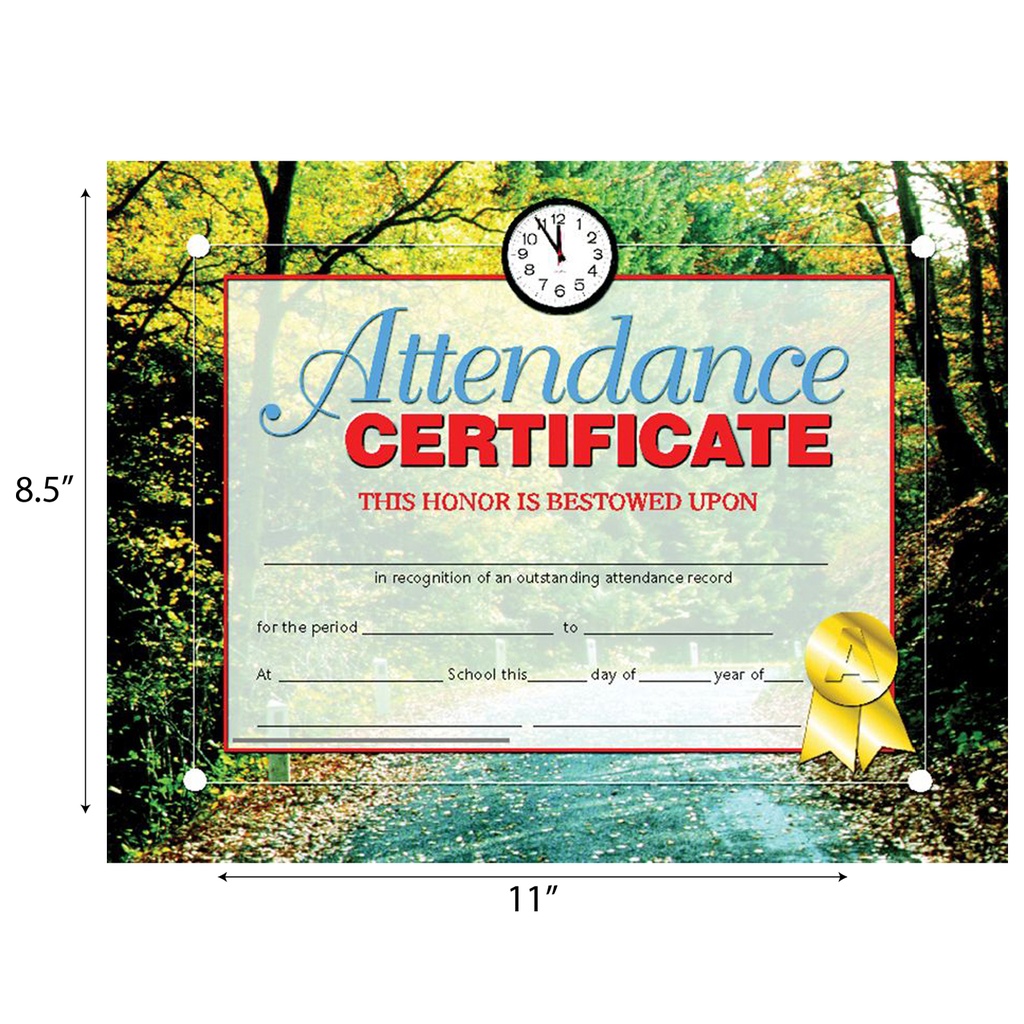 Attendance Certificates Pack of 30_1