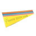 Happy 100th Day Paper Pennants