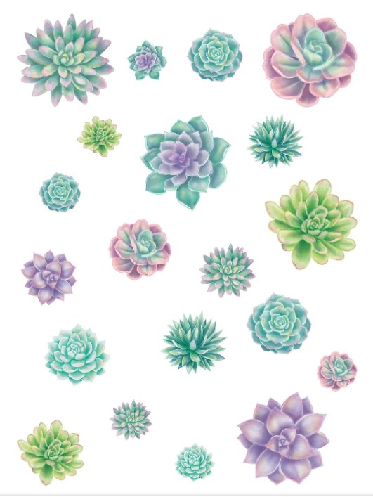 Rustic Bloom Succulents Accents Assorted Sizes