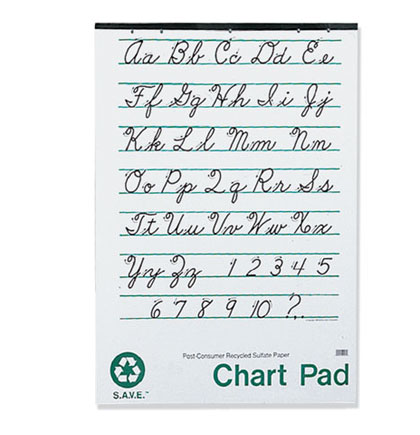 24x32 1.5 inch Ruled SAVE Chart Pad