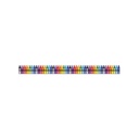 Crayola® Crayons Extra Wide Deco Trim®, 37 Feet