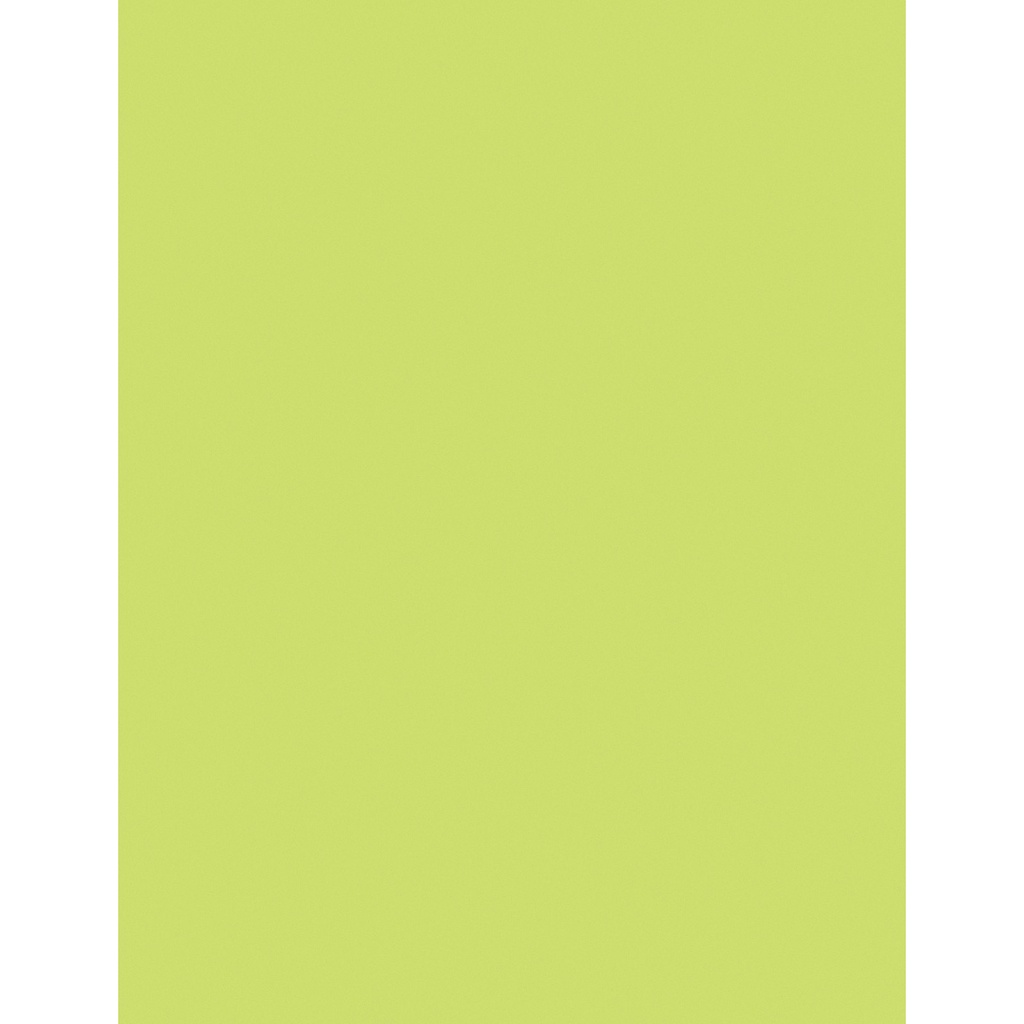 500ct 8.5x11 Lime Multi Purpose Paper