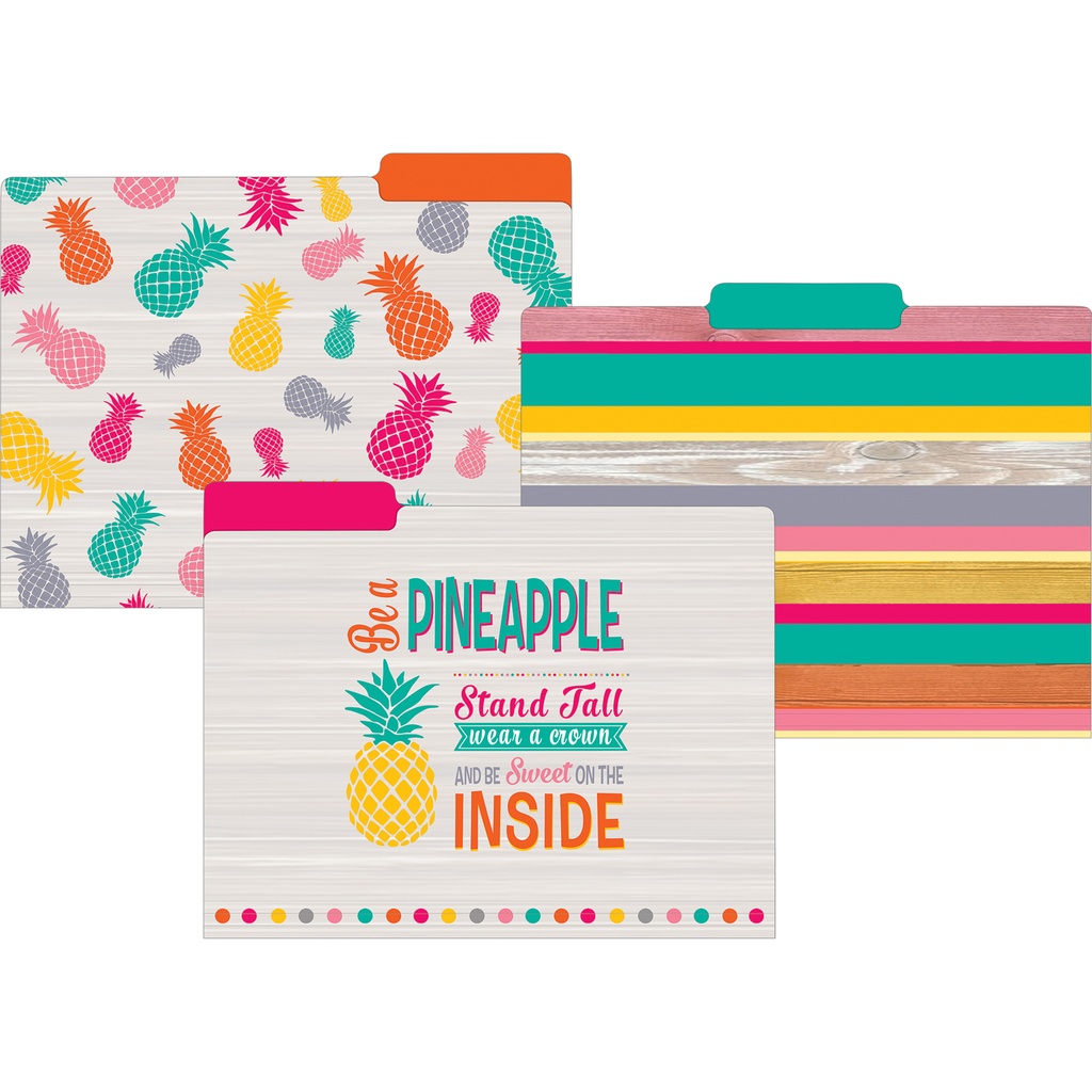 Tropical Punch Letter Size File Folders Pack of 12