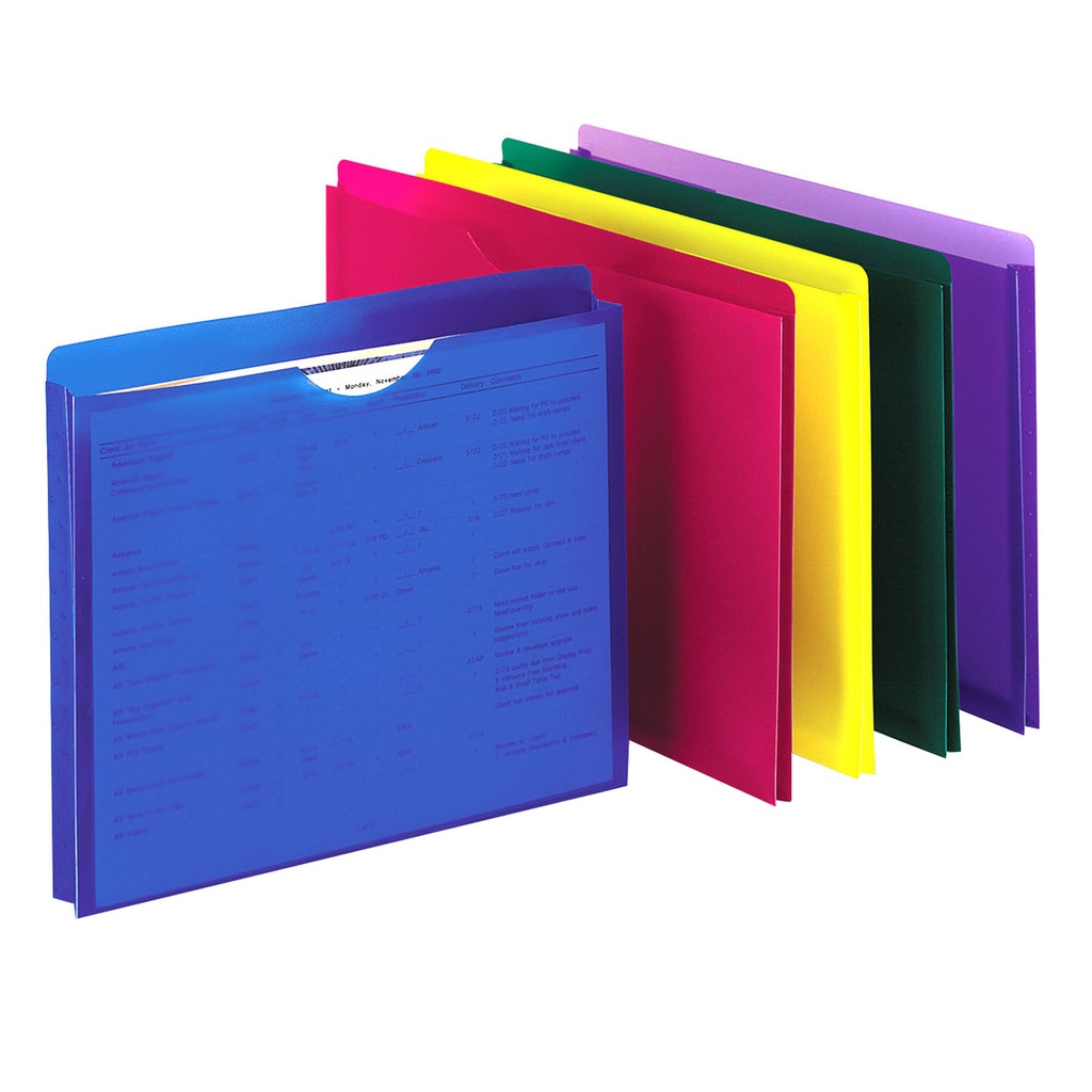 10ct Assorted Translucent Poly File Jackets