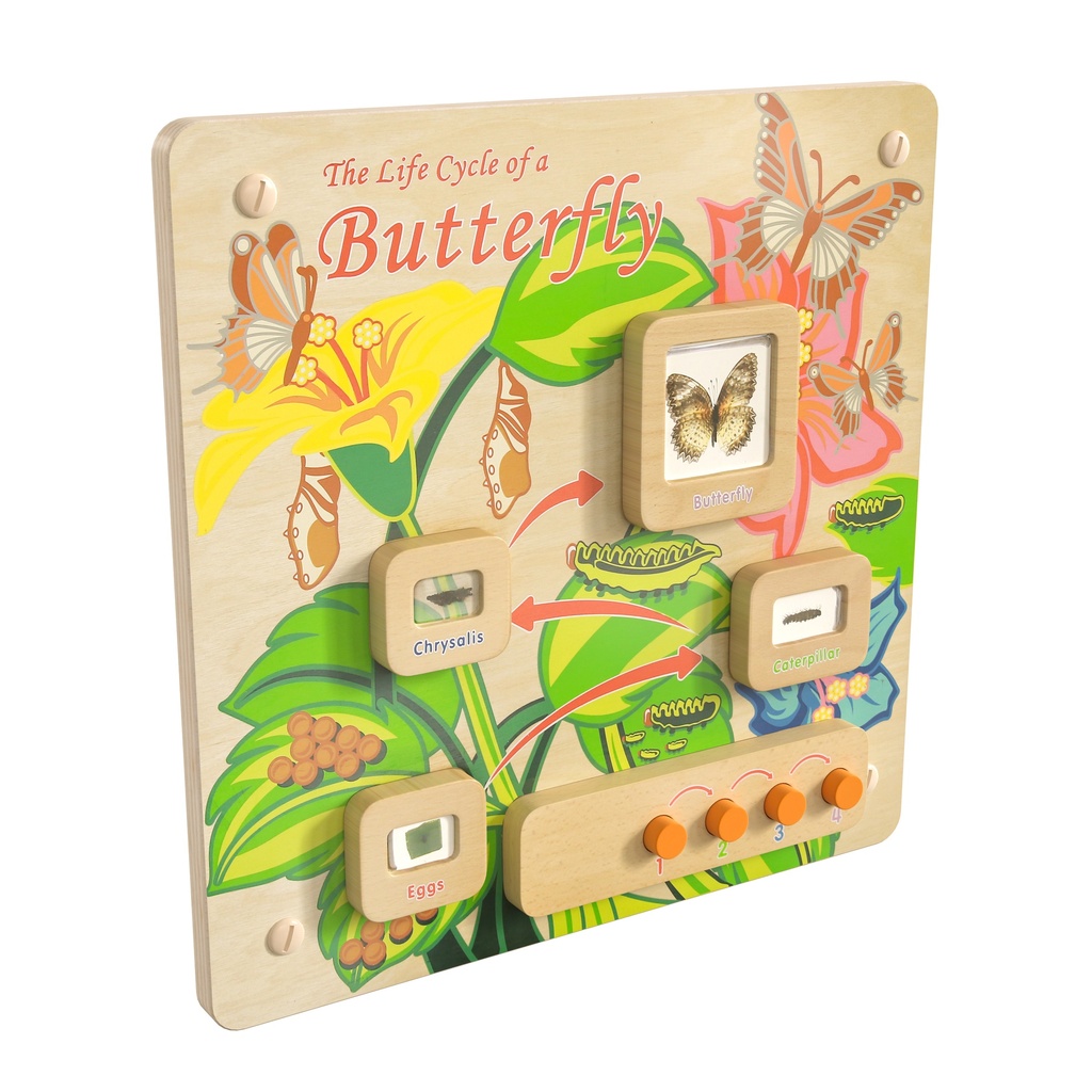 Butterfly Life Cycle Activity Board Accessory Panel