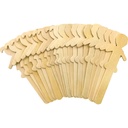 STEM Basics: People-Shaped Craft Sticks