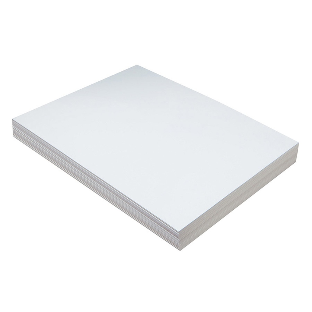 White 9" x 12" Heavyweight Tagboard 100 Sheets