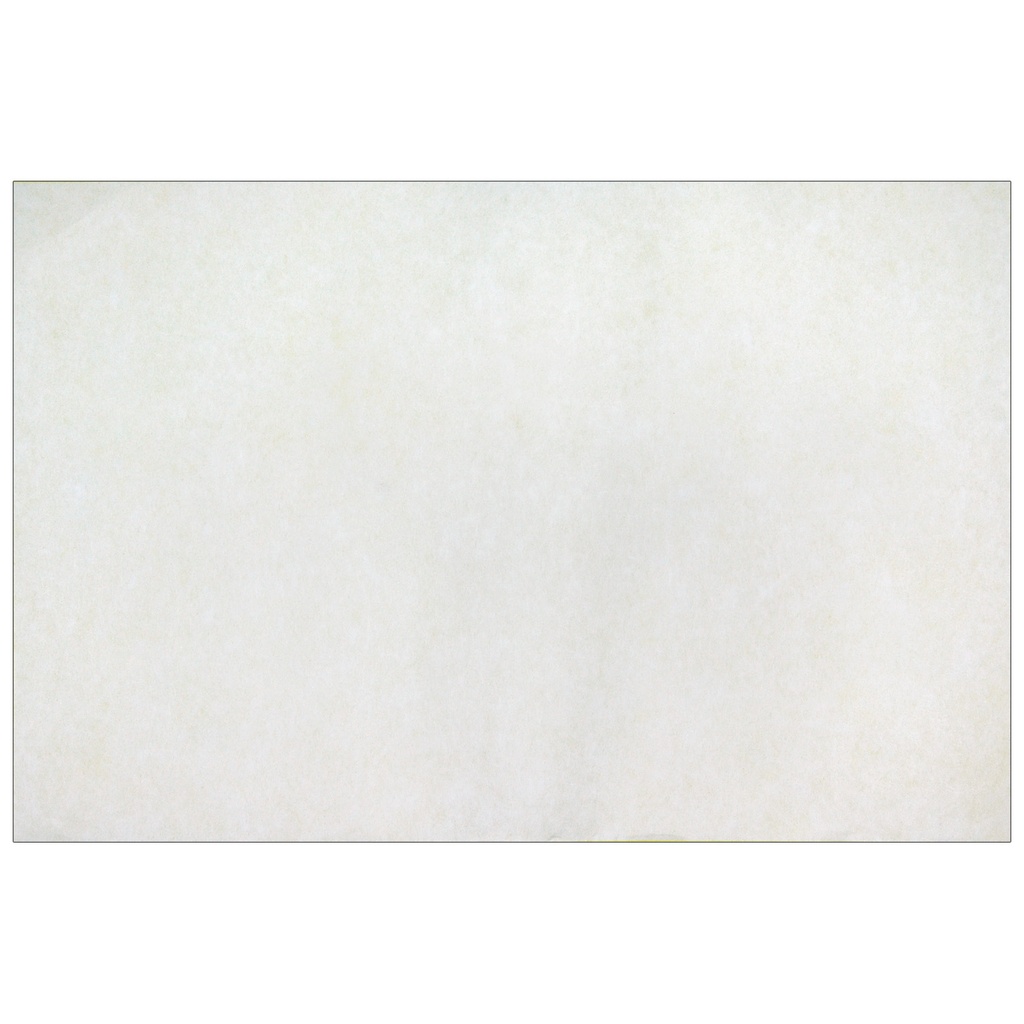 9" x 12" Color Diffusing Paper 50 Sheets