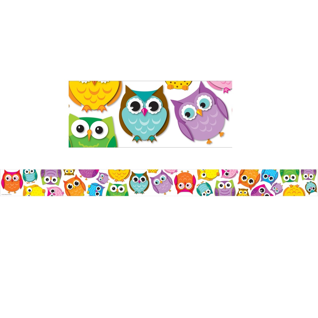 Colorful Owls Straight Border 36 Feet