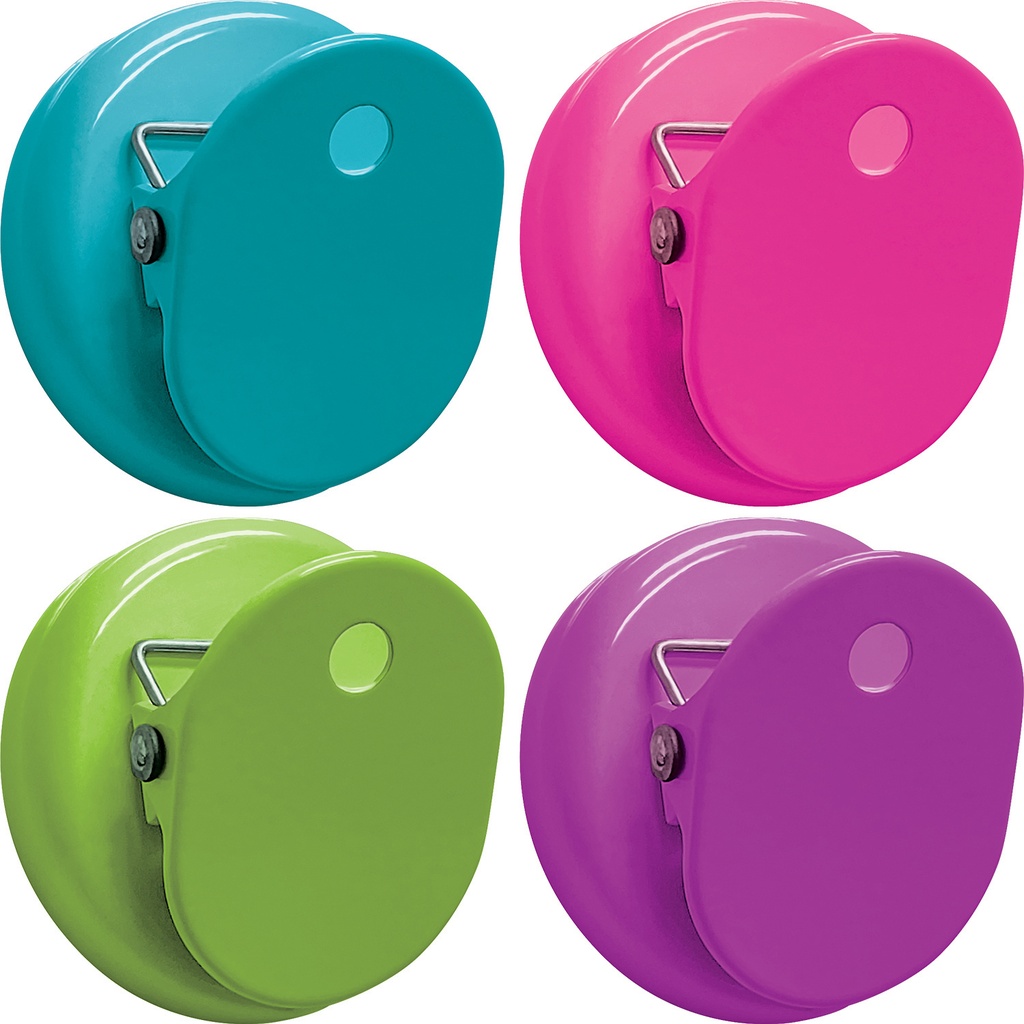 Colorful Magnetic Clips Pack of 4