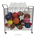 Portable Lockable Ball Locker 