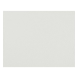 [54602 PAC] White Railroad Poster Board 22x28 Pk/50        Pk