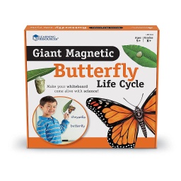 [6043 LER] Giant Magnetic Butterfly Life Cycle
