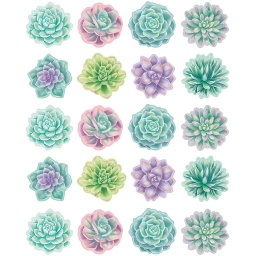 [8554 TCR] Rustic Bloom Succulents Stickers