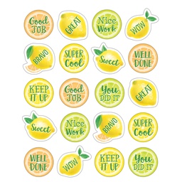 [8484 TCR] Lemon Zest Stickers