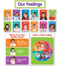 [834481 SC] Our Feelings Bulletin Board Set