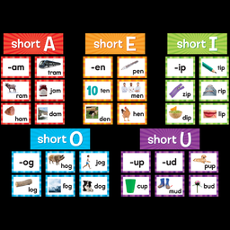 [20850 TCR] Short Vowels Pocket Chart Cards