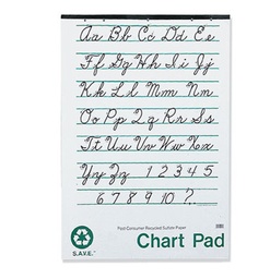 [945510 PAC] 24x32 Unruled SAVE Chart Pad