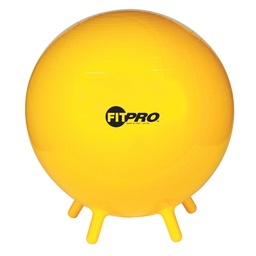[BL65 CHS] FitPro 65cm Ball with Stability Legs