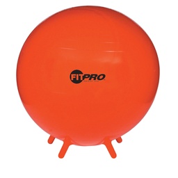 [BL75 CHS] FitPro 75cm Ball with Stability Legs