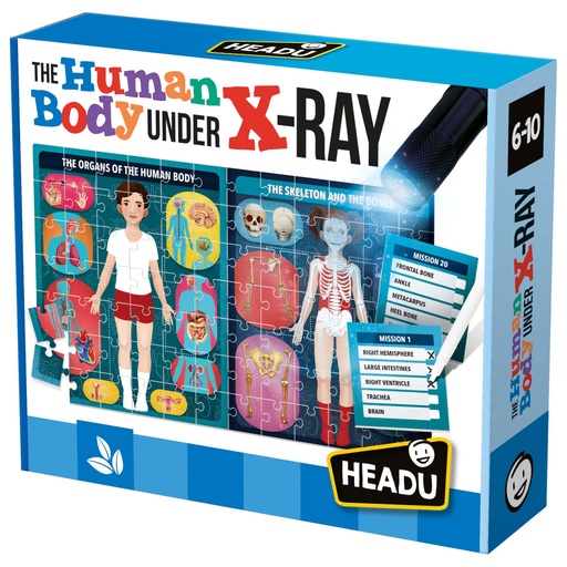 [EN22762 HDU] The Human Body Under X-Ray