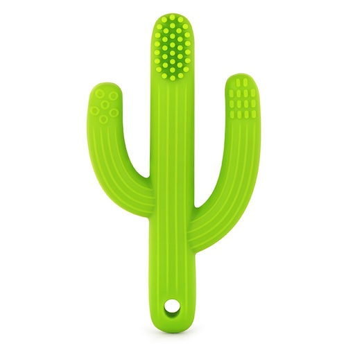 [437 TPG] Cactus Toothbrush Teether