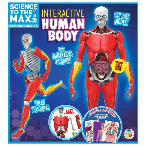 [2331 BAT] Interactive Human Body