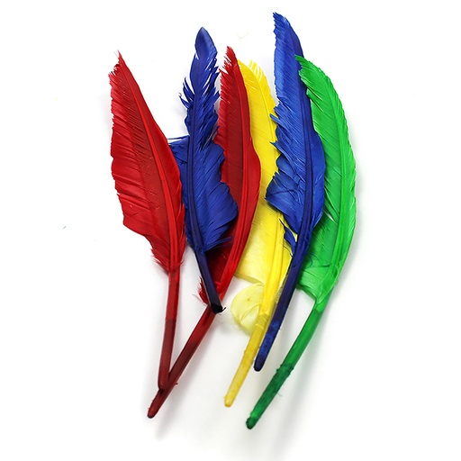 [63006-12 CLI] Quill Feathers, 10" & 12", 6 Per Pack, 12 Packs