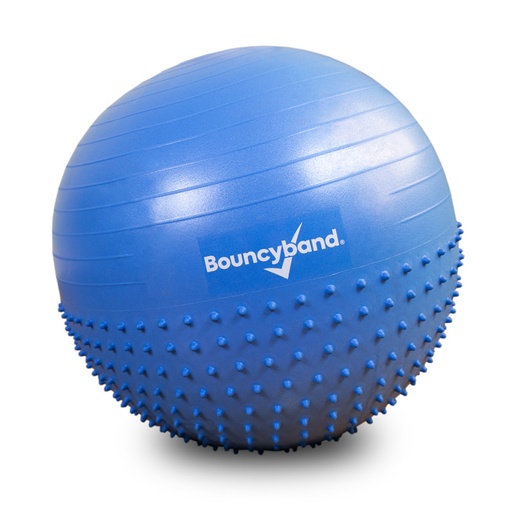 [SRB55BU BB] Inflatable Sensory Roller Ball