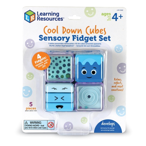 [5582 LER] Cool Down Cubes Sensory Fidget Set