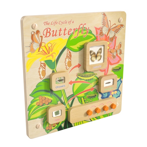 [12883 FF] Butterfly Life Cycle Activity Board Accessory Panel