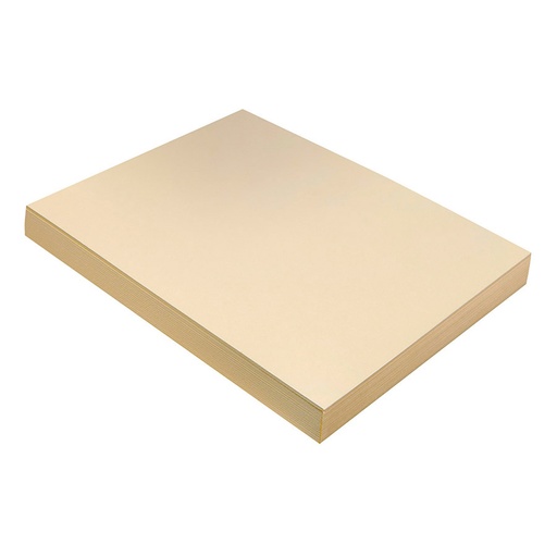 [5111 PAC] Manila 9" x 12" Heavyweight Tagboard 100 Sheets