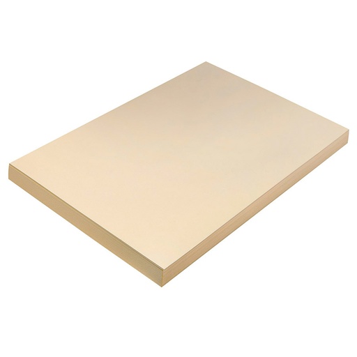 [5114 PAC] Manila 12" x 18" Heavyweight Tagboard 100 Sheets
