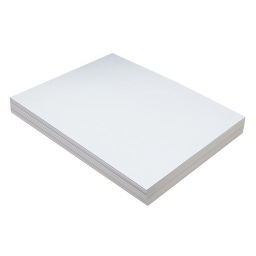 [5211 PAC] White 9" x 12" Heavyweight Tagboard 100 Sheets