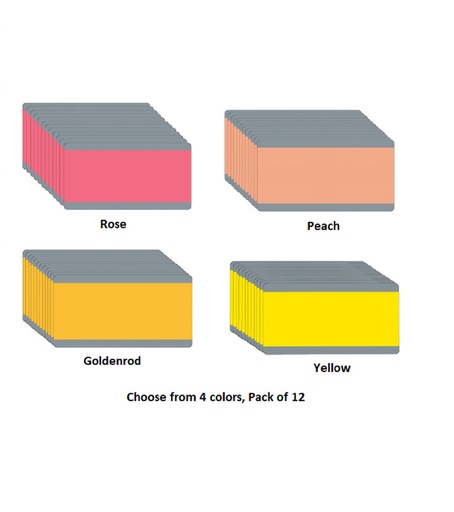 Big Reading Guides 12ct
