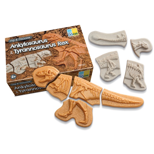 [1227 YD] Ankylosaurus & Tyrannosaurus Rex Dig and Discover