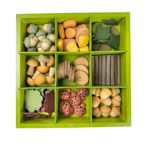 [FF497 CTU] Nature's Sorting Box
